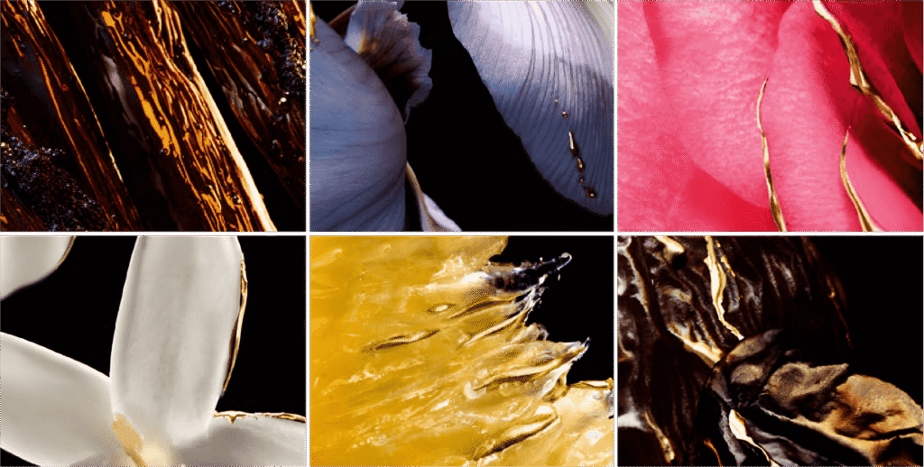 Notas de los aromas de las velas y jabones 