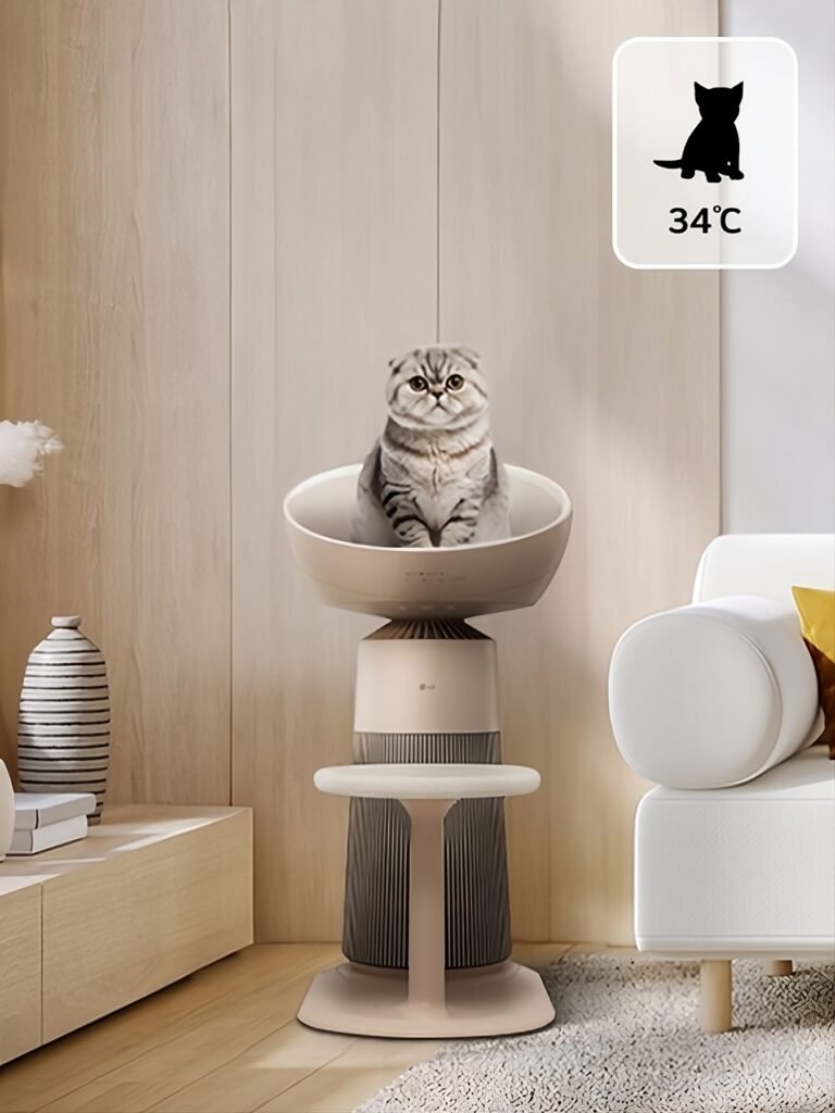 Vista del aerocat ern una sala minimalista