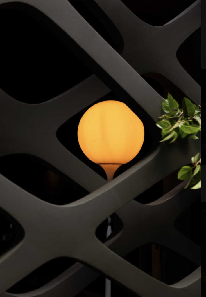 TORI es la nueva expresión del clásico restaurante Tori Tori Temístocles, un proyecto que presenta una etapa fresca, libre y contemporánea dentro de la cocina japonesa.